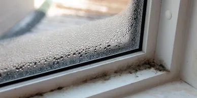 A window with water droplets with patches of moss in Pensacola, FL
