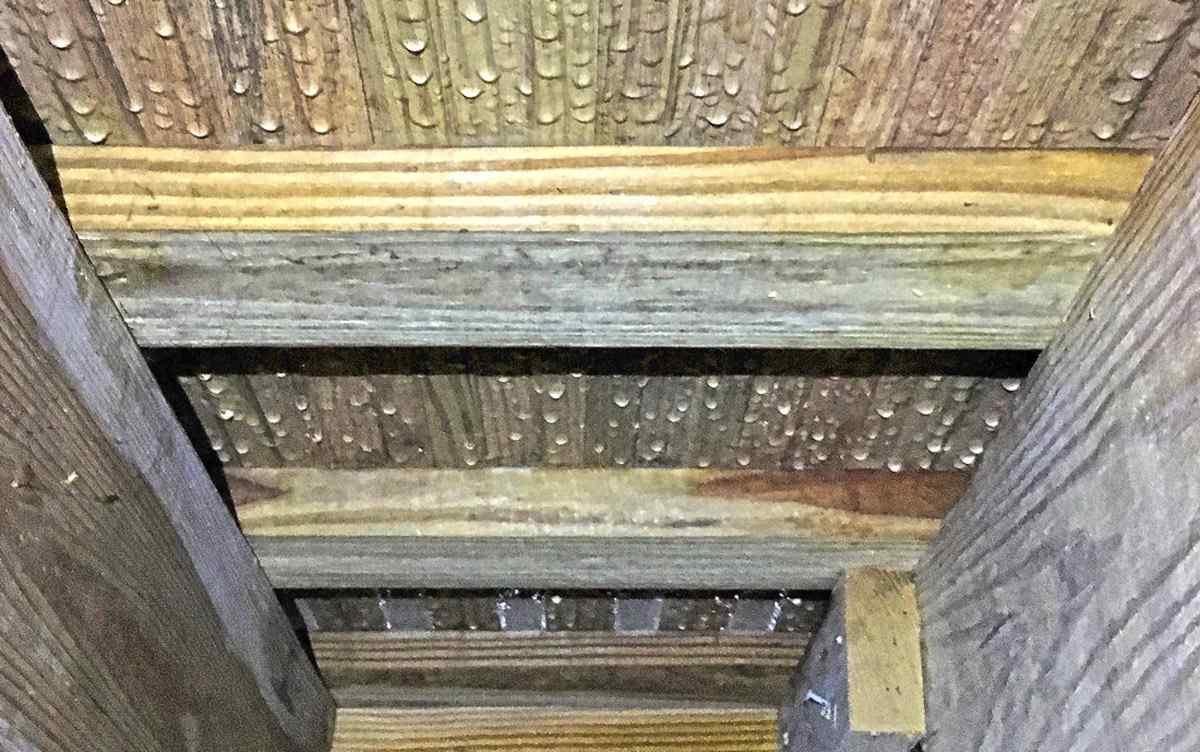 crawl-space-humidity Humidity on crawl space ceiling in Pensacola, FL<br />