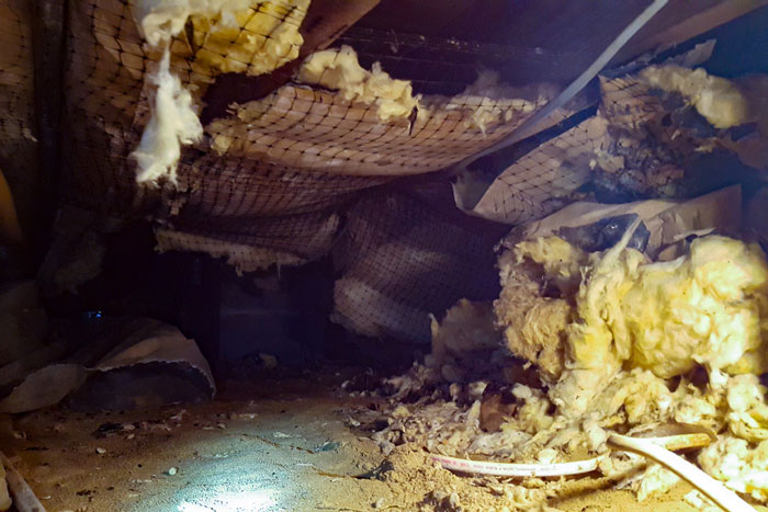 dirty-crawl-space-with-wet-insulation A Dirty Crawl Space Area in Pensacola, Florida<br />