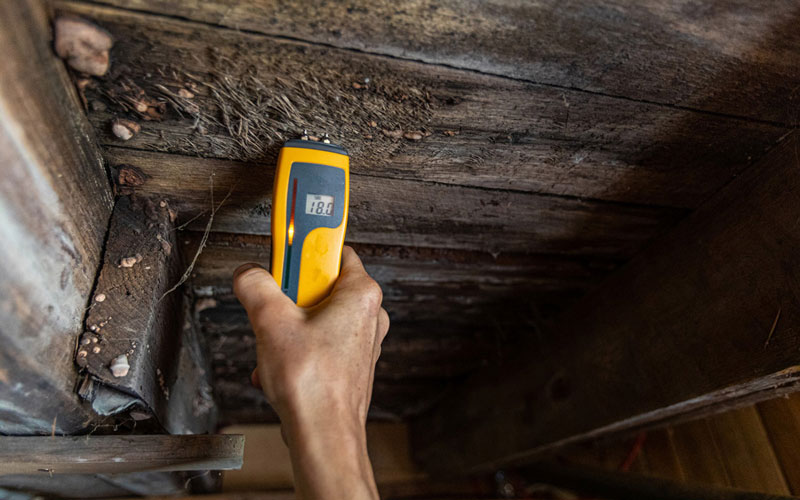 wood-rot-in-crawl-space A Man Checking Wood Rot in Crawl Space in Pensacola, Florida<br />
