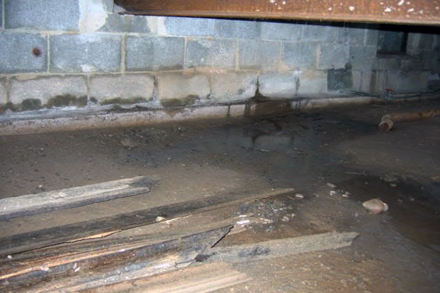 crawl-space-leaking A dirty basement with standing water & leaky crawl space in Pensacola, FL