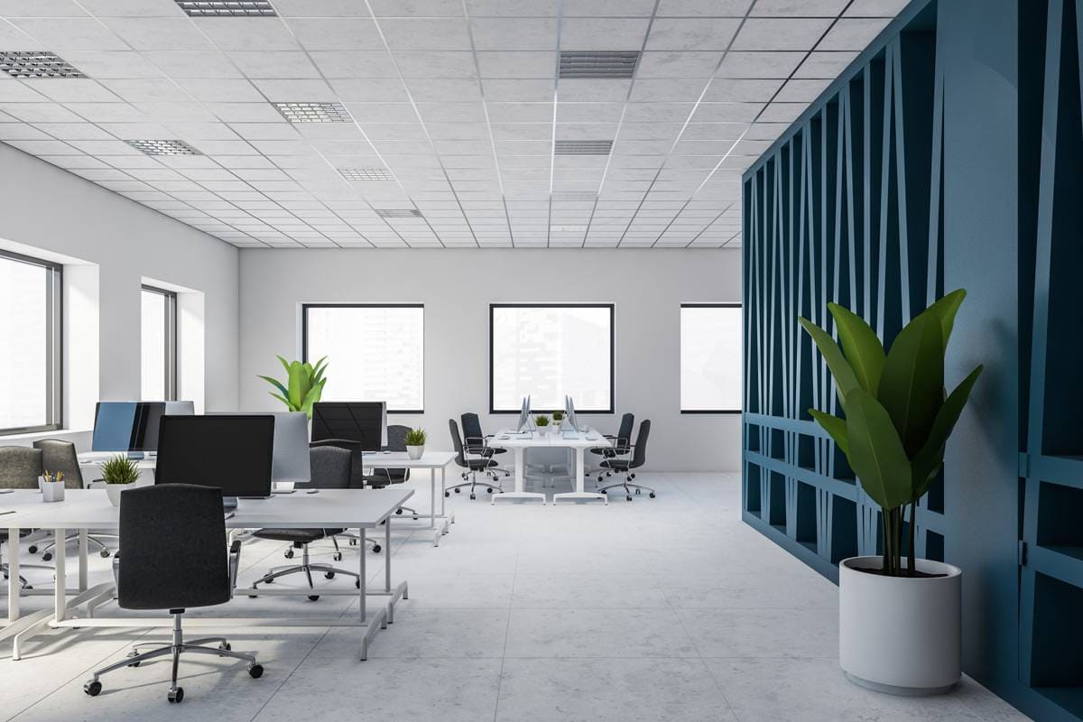 An office space with blue and white walls in Pensacola, FL