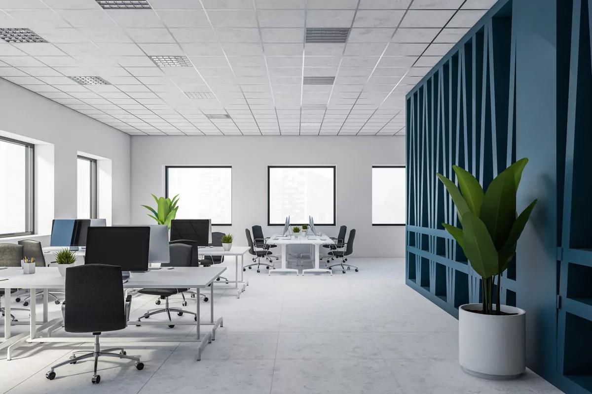 Modern office featuring blue walls and a white floor in Pensacola, FL<br />